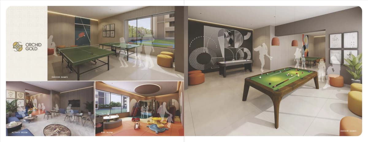 Orchid Gold - Vitalspace Orchid Gold - Vitalspace