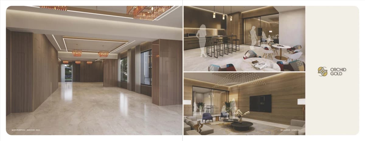Orchid Gold - Vitalspace Orchid Gold - Vitalspace