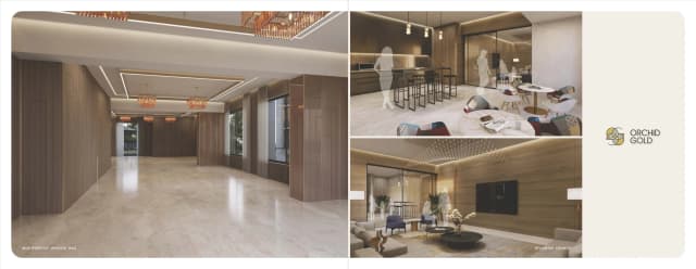 Orchid Gold - Vitalspace Orchid Gold - Vitalspace