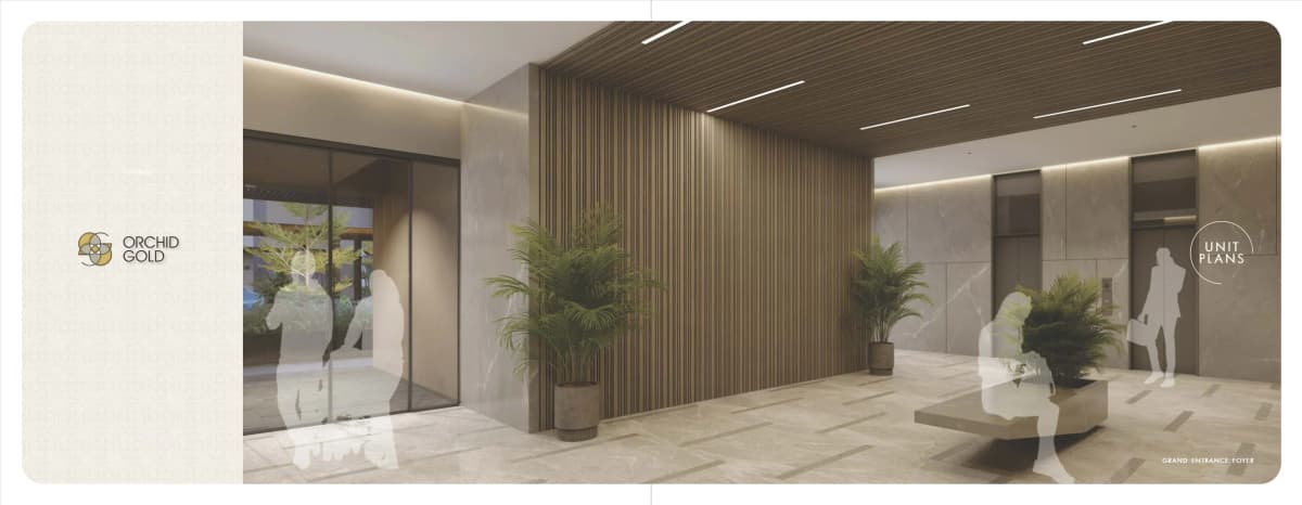 Orchid Gold - Vitalspace Orchid Gold - Vitalspace