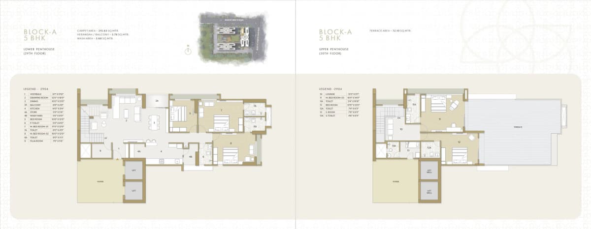 Orchid Gold - Vitalspace Orchid Gold - Vitalspace