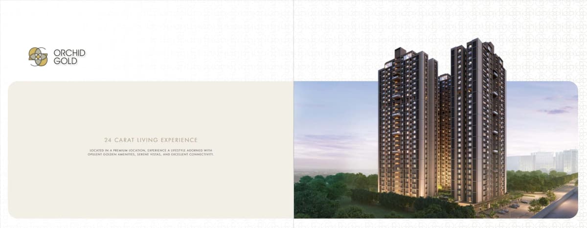 Orchid Gold - Vitalspace Orchid Gold - Vitalspace