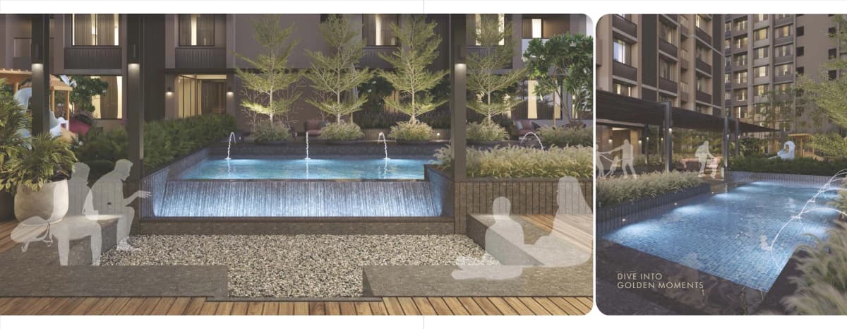 Orchid Gold - Vitalspace Orchid Gold - Vitalspace