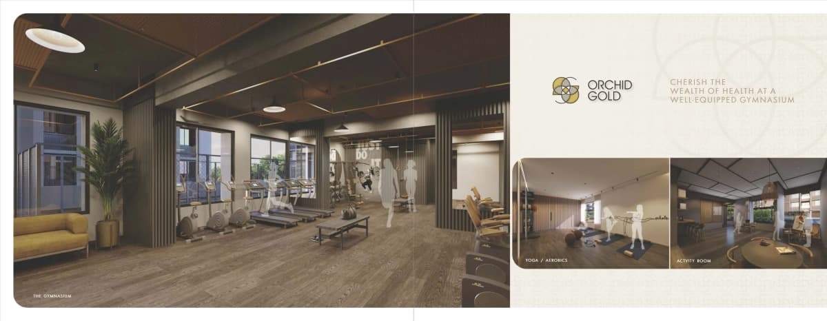 Orchid Gold - Vitalspace Orchid Gold - Vitalspace