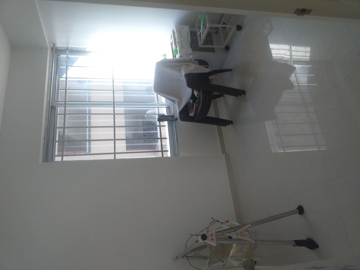 Tulsi Status - Vitalspace Tulsi Status - Vitalspace