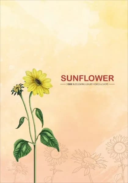 Sunflower - Vitalspace Sunflower - Vitalspace