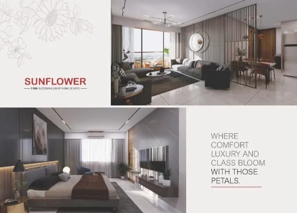 Sunflower - Vitalspace Sunflower - Vitalspace