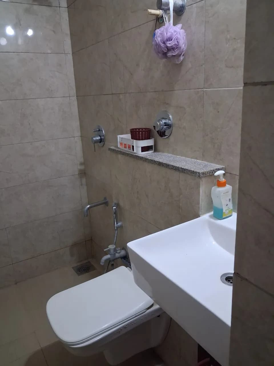 Orchid Blues - Vitalspace Orchid Blues - Vitalspace