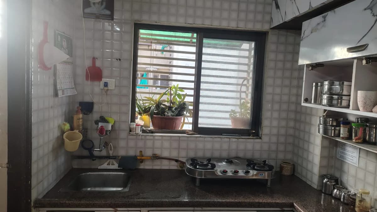 Ganesh Platinum - Vitalspace Ganesh Platinum - Vitalspace