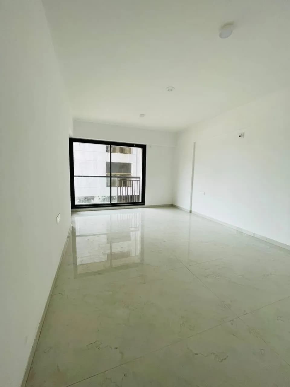 Ideal Ixora - Vitalspace Ideal Ixora - Vitalspace