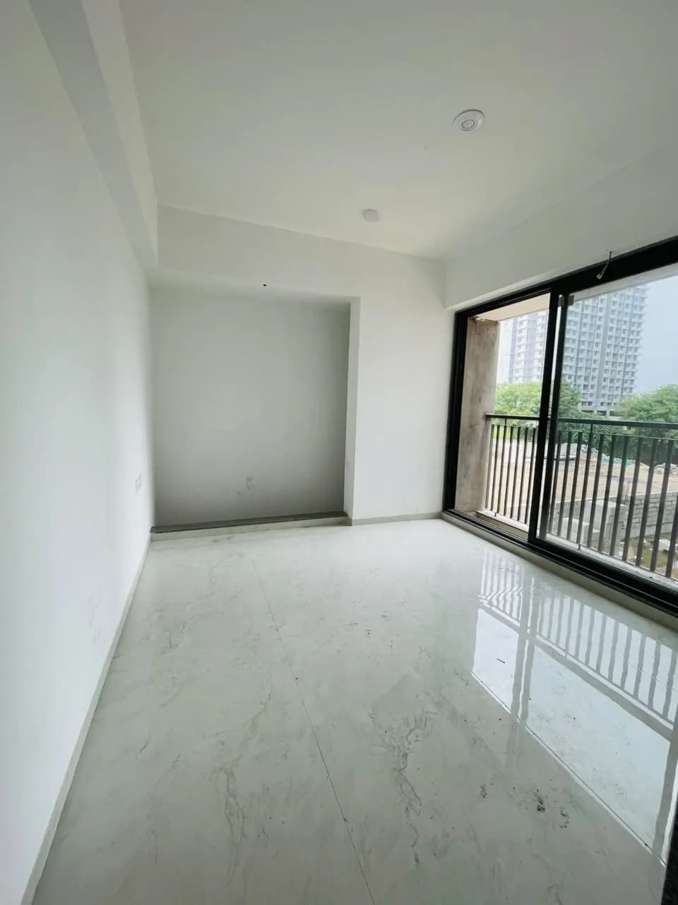 Ideal Ixora - Vitalspace Ideal Ixora - Vitalspace